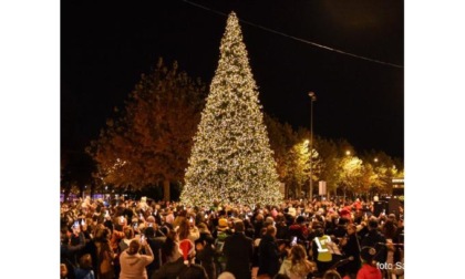 Dal primo albero di Natale a quello «social»