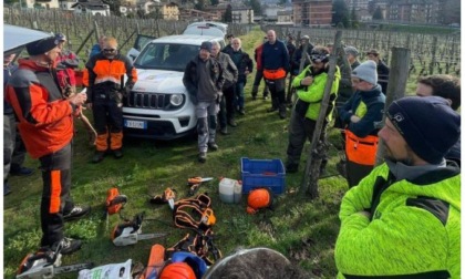 Evento formativo per contrastare il “mal dell'esca” all’Institut Agricole