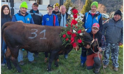 Moudzon, ultime battaglie di primavera