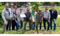 St-Marcel: l’albero del centenario dell’Ana