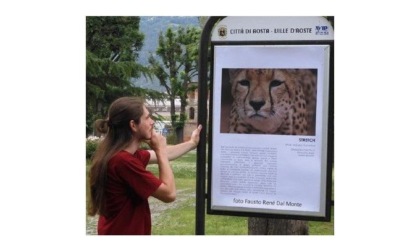 Mostra fotografica sui pannelli dei Giardini Lussu ad Aosta