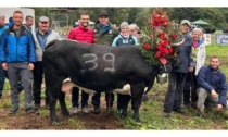 A Valpelline si disputa l’Espace Mont Blanc La Valle d’Aosta vuole riprendersi il titolo