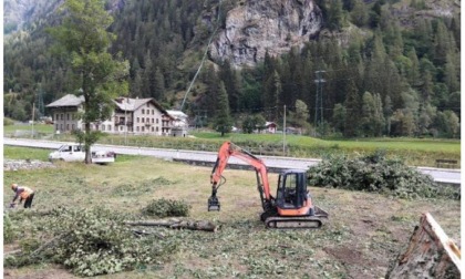 Caduta massi, iniziati i lavori di mitigazione del rischio a monte della Regionale 44