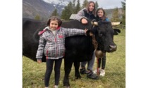 Batailles, un gioco da ragazzi Valérie Landry a soli 14 anni ha già una bovina nell’arena