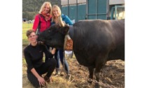 «Da mio zio Claudio ho imparato a riconoscere le bovine migliori»