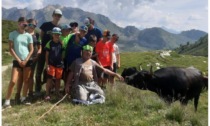 Farchetta scenderà in campo per tentare lo storico tris Assenti le regine uscenti di prima e seconda categoria