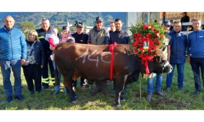 Guerra impressiona a Saint-Christophe Bosquet anche per Moureun e Battaillon