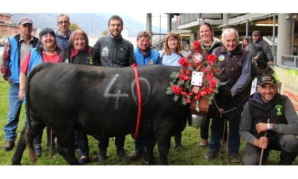 I moudzon hanno già vissuto la loro finale Trionfano Mirà, Jardin, Miluna e Terrible