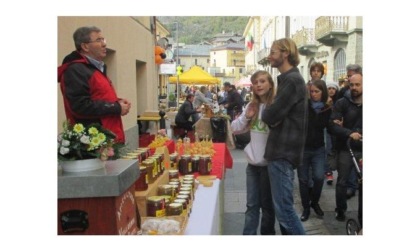 La Sagra del miele con il mercatino e la premiazione del 30esimo concorso