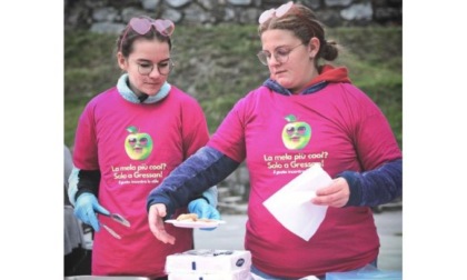 Oltre mille porzioni di frittelle e dieci quintali di caldarroste A Gressan la 40esima Festa delle Mele è stata un successo