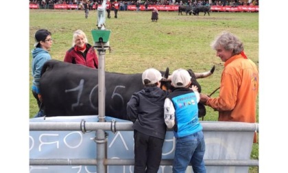 Tra il pubblico l’invasione degli spettatori giovanissimi La passione ereditata dai nonni e il tifo per Davide Bieller