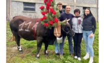 “Tra poco suonerà la sveglia e scoprirò che è un sogno” Il trionfo di Tiky e di Italo Arlian in seconda categoria