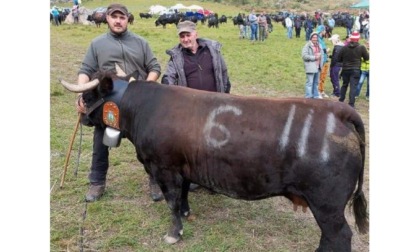 «Una partecipazione dedicata alla memoria di Lauro Pont»