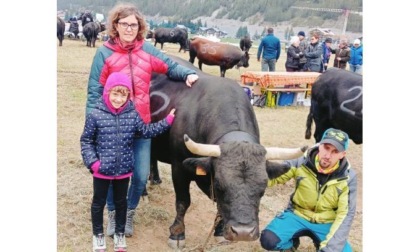 «Una passione nata da “bocia” in alpeggio con Edy Viérin»