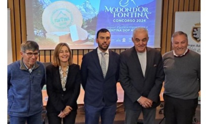 Modon d’Or: sono 44 i produttori in gara per il titolo di migliore Fontina d’alpeggio