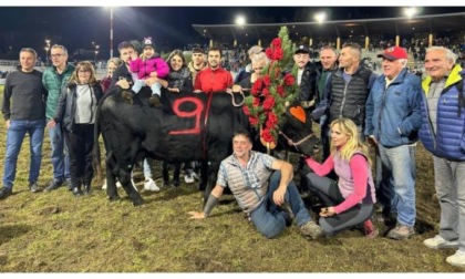 Reines, festa in onore di Suisse ad Avise